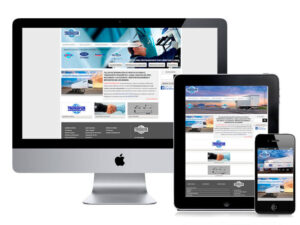 Diseño página web Friotransur. digitalDot